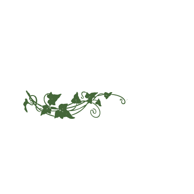 Roccos Cafe Crystal River